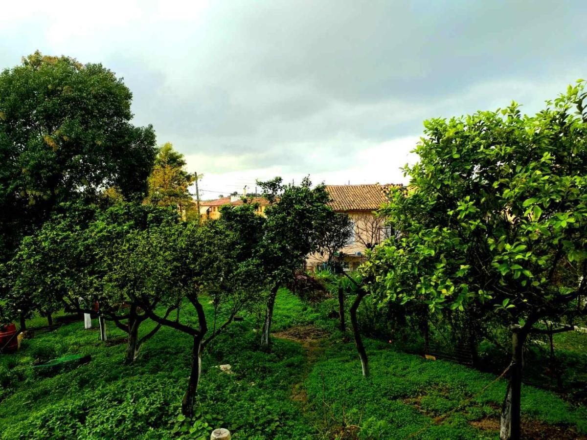 Apartment Rosa Garden House